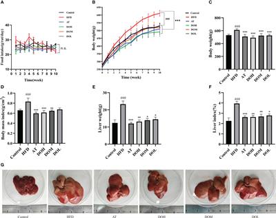 Dendrobium officinale alleviates high-fat diet-induced nonalcoholic steatohepatitis by modulating gut microbiota